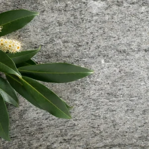New York AirStone kőfurnér