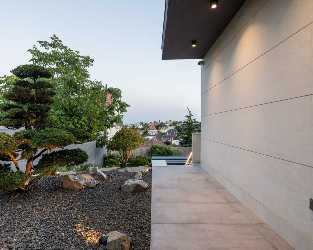 bonsai